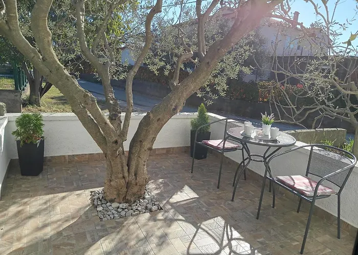 Goga Tomic Apartment Seline