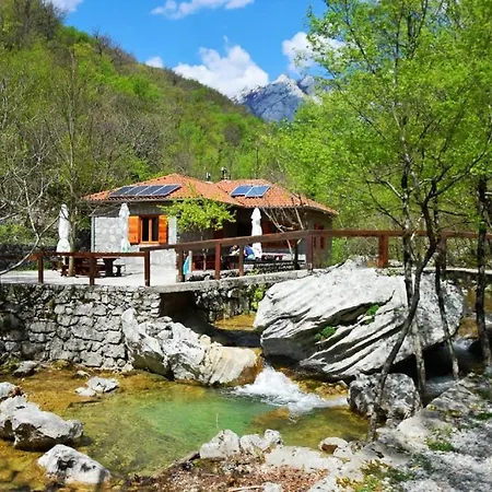 Goga Tomic Appartamento