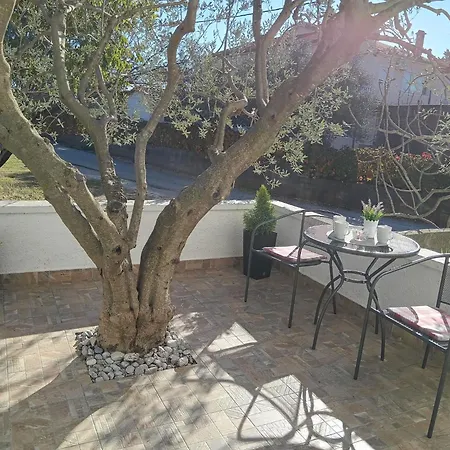 Goga Tomic Apartment Seline