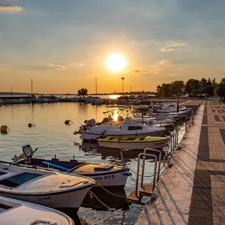 Appartement Goga Tomic *