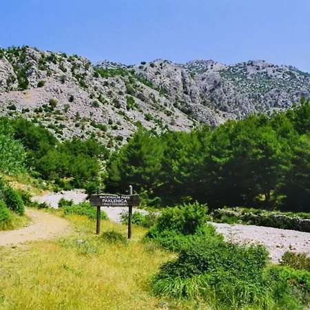 Appartamento Goga Tomic *