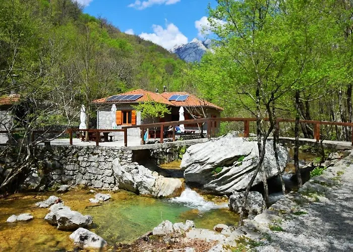 Goga Tomic Appartement