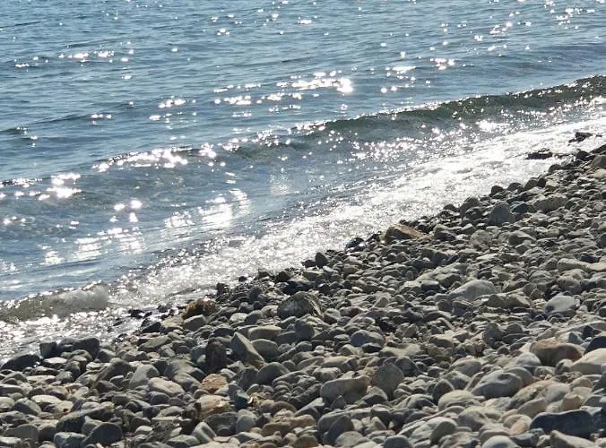 Goga Tomic Appartement Seline