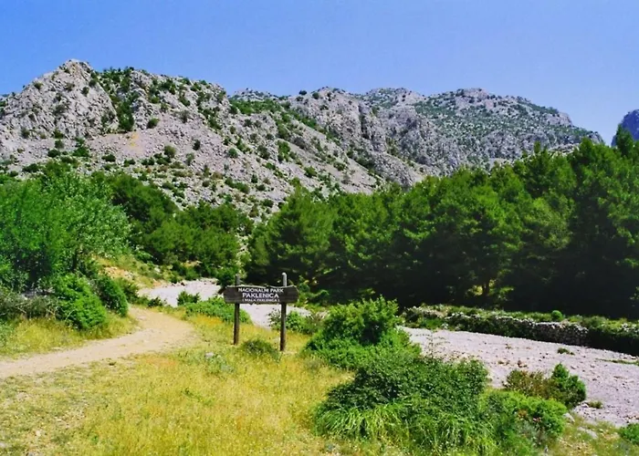 Appartement Goga Tomic *